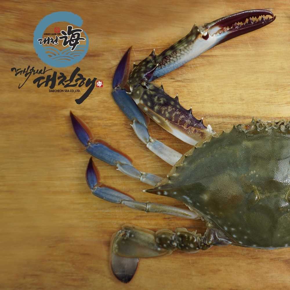 서해안 가을꽃게 생물 2kg (6~10미)