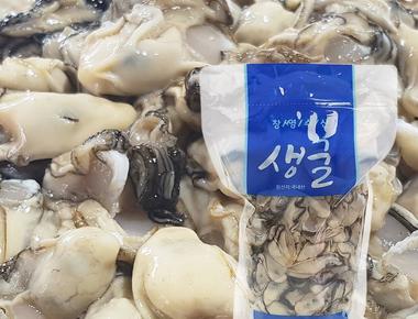 창영수산 제철 생굴 1kg, 1개, 제철 생굴 1kg